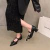 Temperament Pointed High Heels Black Single Shoes Women's Shoes New Spring and Autumn Winter Mary Jane Small Leather Shoes