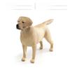 Animal Model Puppets Pvc Realistic Dog Figures For Childrens Educational And Creative Activities