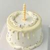 Simple Simulation Cream Cake Model Fake Birthday Cake Mold Plastic Decoration Cake Shop Window Sample Display Photography Props