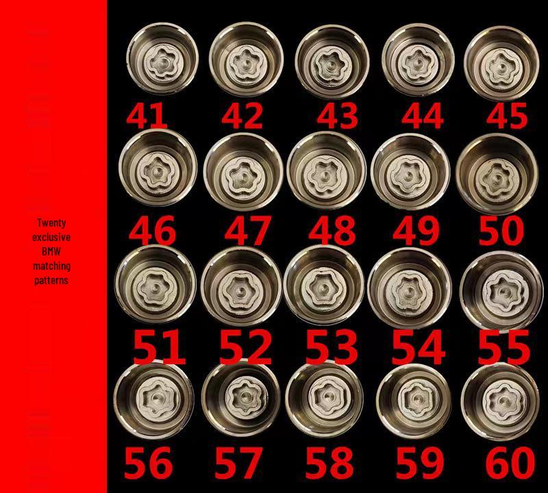 Anti-theft Screw Set for 1, 3, 5, 6, 7 Series and X1, X3, X5, X6 Models