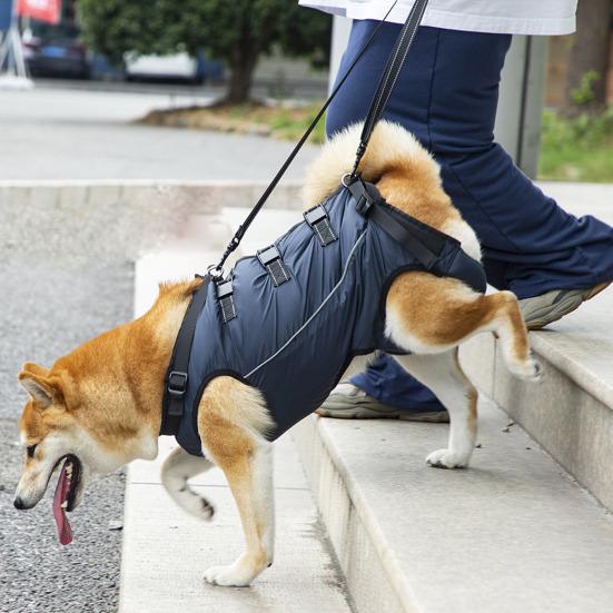 Nastavitelný zvedací postroj pro psa Pohodlný zvedací pás pro psa Prodyšná podpůrná smyčka pro staré, postižené, poranění kloubů, artritidu, procházku psa