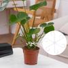 Plants Stem Support Plastic Trellis Easy Installation Vine Plants Trellis  Adjustable Reusable Holder Protective Plant Stabilize
