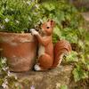 Squirrel Statue for Garden Planter Climber Statue, Cute Lifelike Sculpture, Resin Small Animal Lawn Decor Figurine Plant Pot Edge Decoration Sculpture
