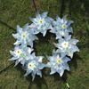 Weatherproof Bird Repeller Pinwheels Anti Birds Windmill Spinner  for Garden Protection