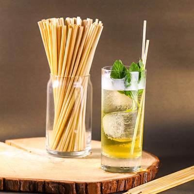 300Pcs Canudos de Madeira de Grau Alimentício Proteção Ambiental Multiuso Reutilizável Compostável Água Potável Canudos de Bambu Biodegradáveis Sem Produtos Químicos