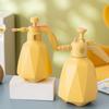 Pressure-type Small Spray Bottle Watering Can Sprayer Disinfectant Alcohol Spray Bottle