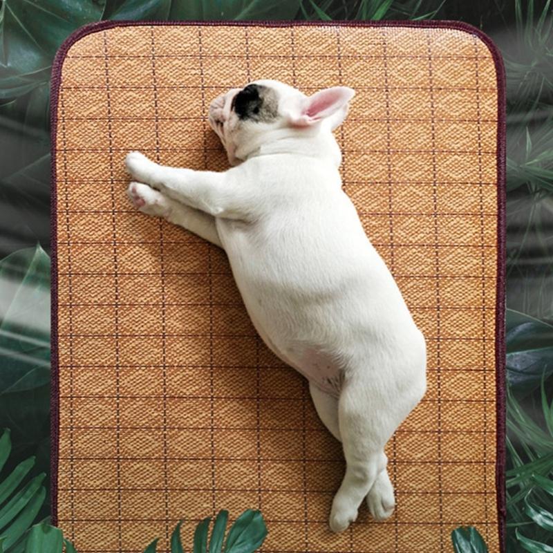 Pet Cooling Bed Large Cats Dog Sleep Bed Indoor Sofa Cats for Indoor Home and Travel Reversible Mat