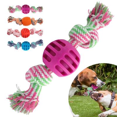 Hunde – Hundespielzeug