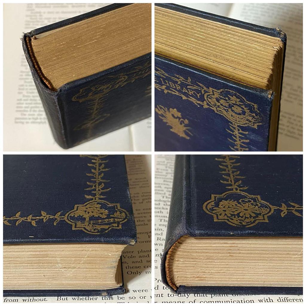 [USED] Rare American Vintage Antique Wild Plant Encyclopedia