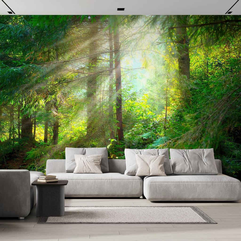Beautiful Forest Wallpaper Natural Landscape Tree Mural Bedroom Living Room Decor