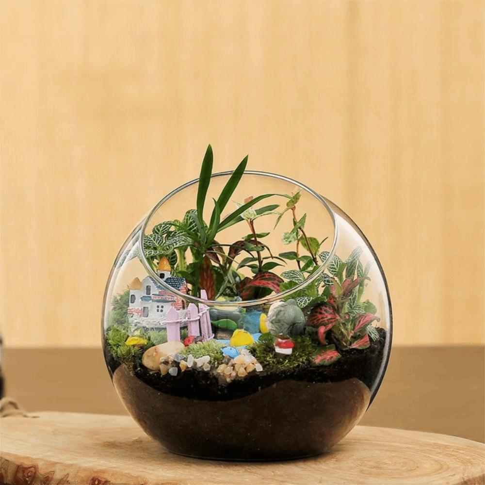 Oblique Clear Glass Ball Vase Transparent Plant Terrarium Succulents Plant Container  Home Decor