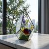 Geometric Glass Rhombus Greenhouse Ornament: European Wine Cabinet Micro Landscape & Preserved Flower Pot Craft