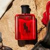 [Ralph Lauren] Polo Red EDT 125ML