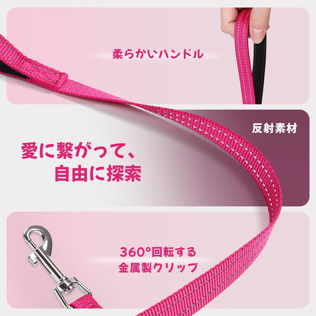 Rabbitgoo Dog Harness and Leash Set for Extra and Large Soft Velcro and Reflective Gentle on the Nighttime Easy to Put on and Take Hand Safe for and