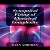 Synoptical Firing of Electrical Complexity by Evan Amrhein... 9781478797678