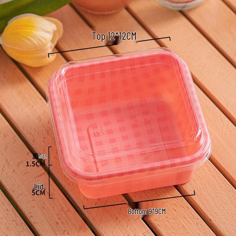 

Disposable Picnic Food Takeout Box, Red Plaid Square