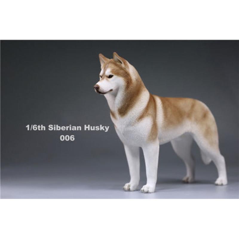 working dog accessories