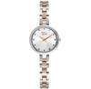 Watch Pierre Ricaud P22013.R143Q