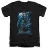 Nightwing Todo Crescido Camiseta Gráfica Masculina S-5XL Licenciada pela DC Comics Camiseta Unissex