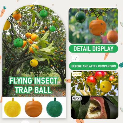 Balle Collante pour Piéger les Mouches des Fruits Balle Collante pour Attraper les Mouches Piège à Balle Collante pour Piéger les Mouches Moucherons Moustiques Insectes Volants