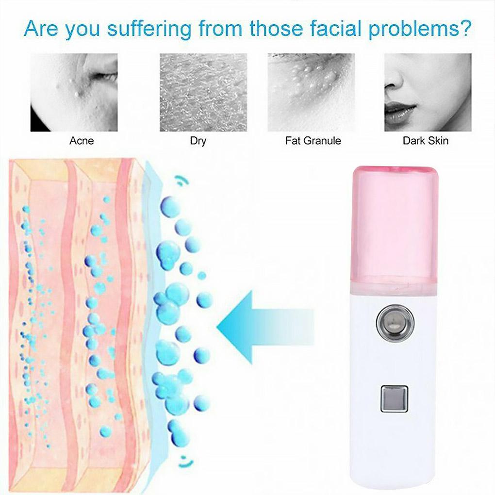 Mini Portable Beauty Facial Steamer Face Sprayer Salon USB Rechargable Mist New