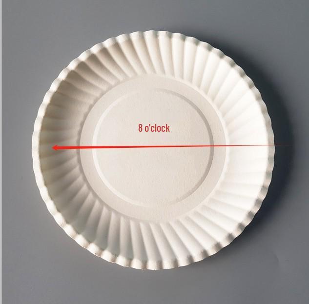 Disposable White Birthday Cake and Party Plates with Cutlery - Perfect for Snacks, Goodies, and Picnics