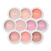 APIEU Pastel Blusher 4.3g