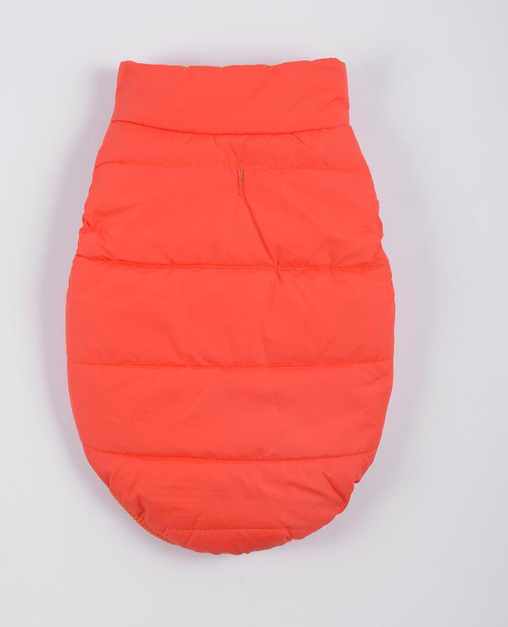 Thickened Cotton Snap Button Jacket for Dogs - Autumn/Winter Pet Apparel