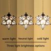 Stylish Pendant Light Etoile Pendant Light Pendant Tri-To 3 Lights Etoile Pendant Tri-To Compatible with Track Rails A Light with a Modern and Simple