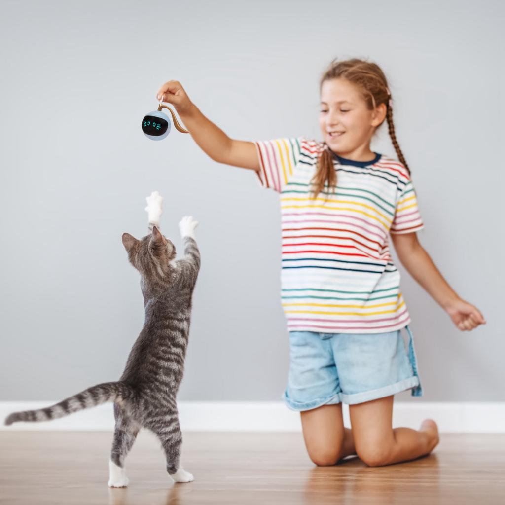 Interactive Cat Ball Toy, Can Make Sounds, Fun, Automatic Rolling Ball, With Furry Ball Toy, Small Mouse Tail, Rechargeable