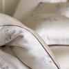 Luxury Lan Jing Tencel Cooling Four-Piece Summer Bedding Set: Silky, Machine Washable Bed Sheet & Duvet Cover for Naked Sleep.