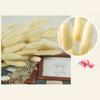 50pcs Dried Rabbit Tail Grass Flowers Artificial Plant Wedding Party