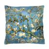 Pillow - Almond 50x50 Cm