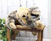 Take Off Realmore Sloth Parent and Child