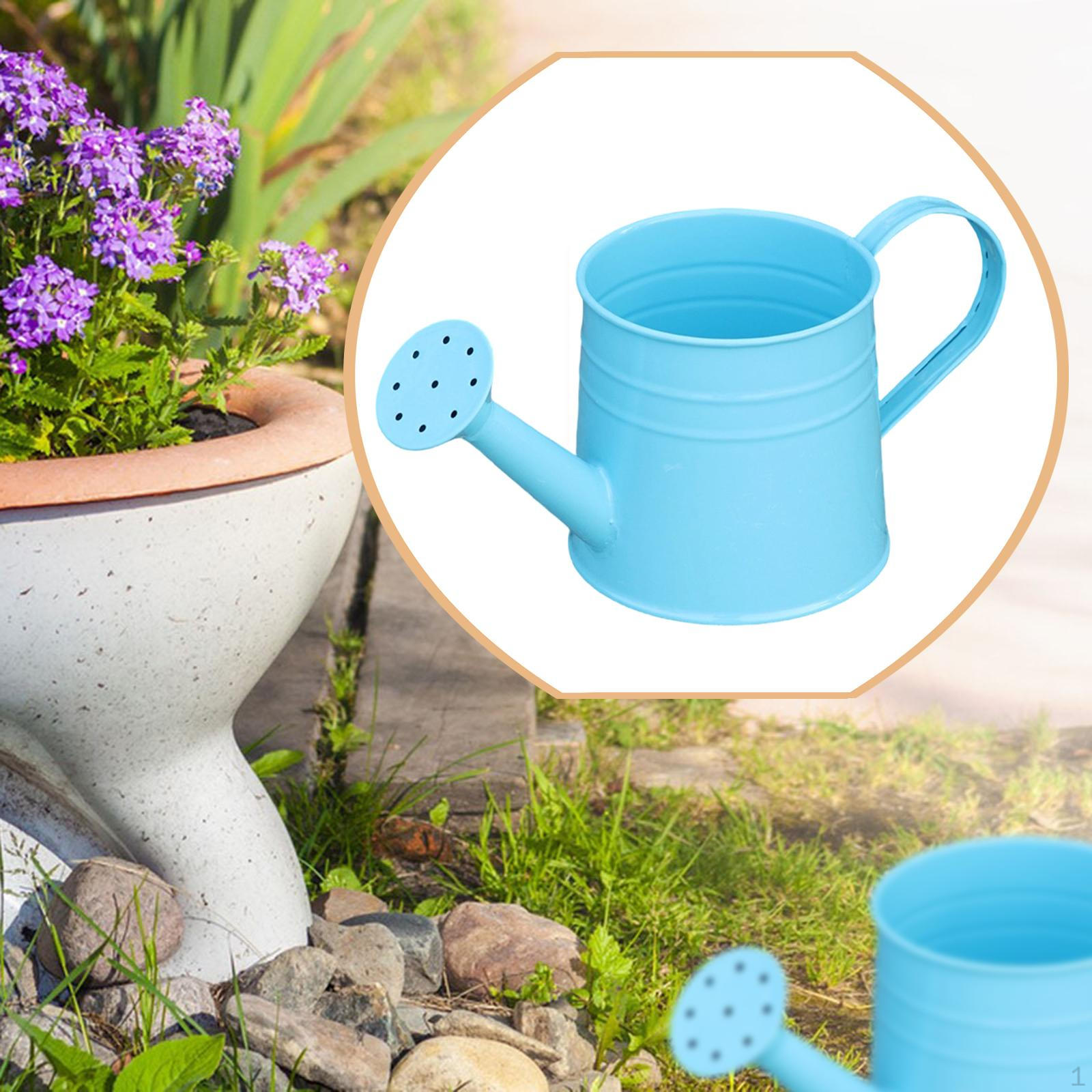 

Garden Watering Can with Ergonomic Handle, And Rustic, Ideal for Plant Lovers on Balconies