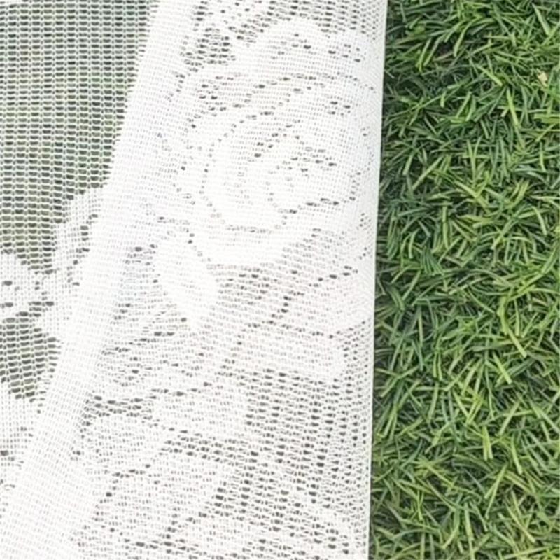 Translucents Laces Short Valance with Florals and Butterfly Design for Bedroom Living Room Dining Room Window
