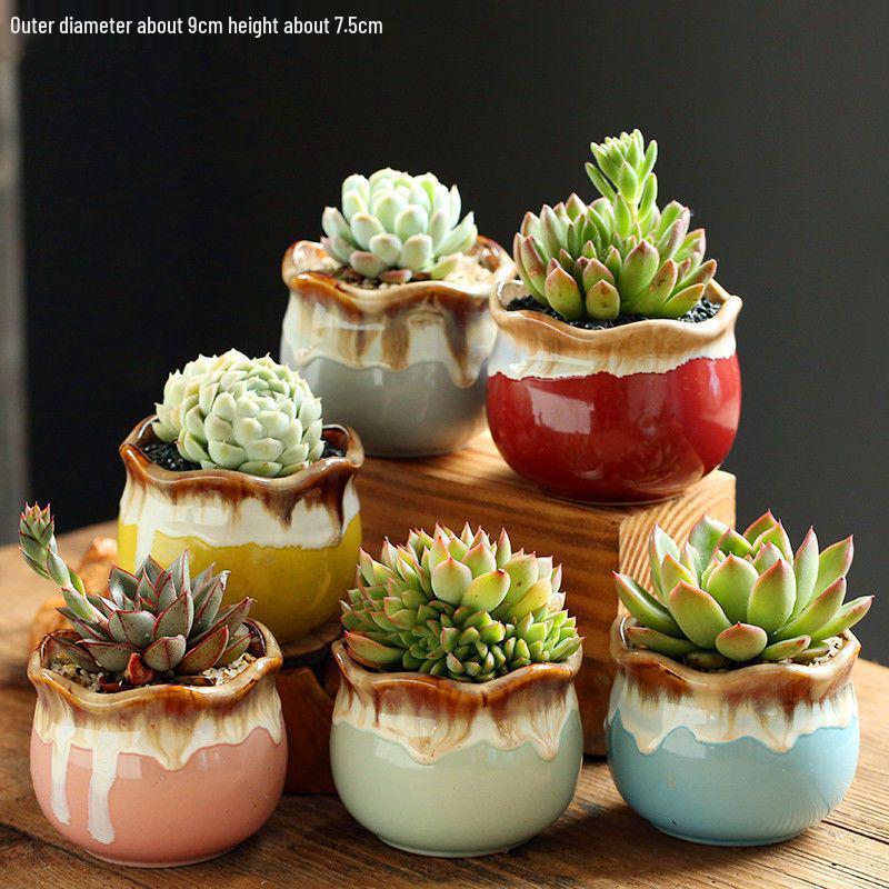 Breathable Ceramic Indoor Succulent Planter Set - Creative Small Flower Pots