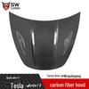 Carbon Fiber Hood & Engine Cover for Tesla Model 3/Y (2017-2020)