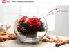 Thailand Red Rose Preserved Flower with Glass Cover – Valentine's and Christmas Gift