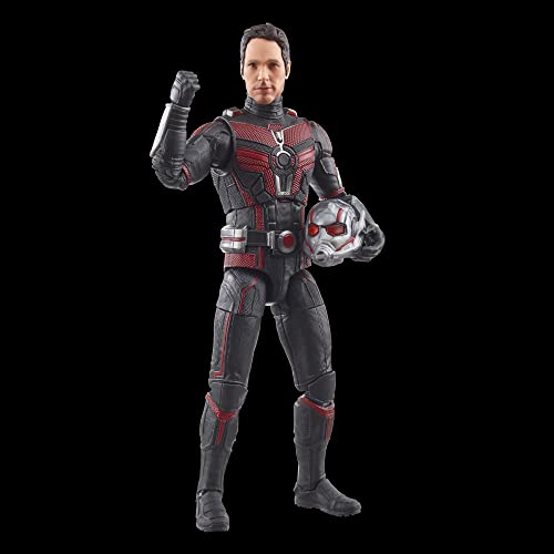 Hasbro Marvel Legends Series Ant-Man, Ant-Man and the Wasp: Quantumania 6-inch (15cm) Action Figure, Ages 4 and Up, F6573, Authentic