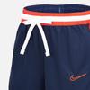 Nike Quick-Dry Loose Lightweight Comfortable Casual Shorts Men Bottoms Blue DD0564-420