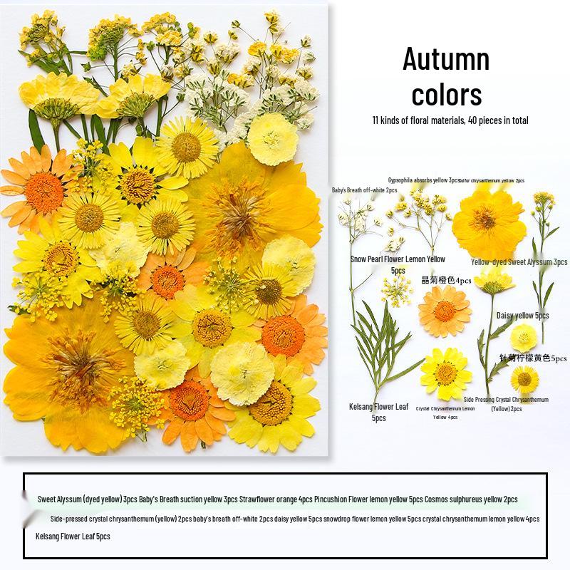 Handmade Resin Pressed Flower Bookmark DIY Kit: Transparent Specimen Stickers & Dried Flowers for Students