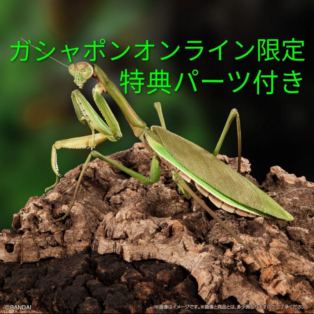 

[Б/У] Продвинутая энциклопедия существ: Гигантский богомол (зеленый) - Гашапон Эксклюзив онлайн