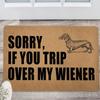 Non- Door Mat, Indoor And Outdoor Carpet, Home Welcome Mat