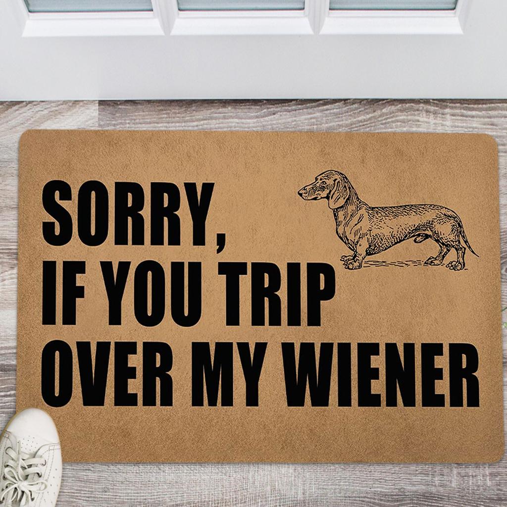 Non- Door Mat, Indoor And Outdoor Carpet, Home Welcome Mat