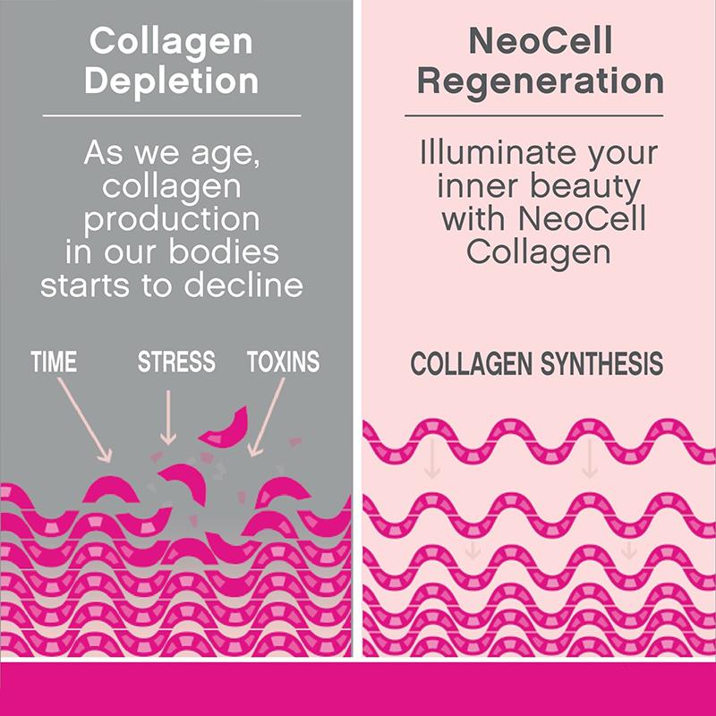 Collagen Tablets Containing Vitamin C and Biotin Support Healthy Skin  Hair and Nails