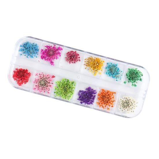 

Дизайн ногтей сушеные цветы уникальные изысканные пластиковые консервированные наклейки для ногтей для маникюрного салона #1