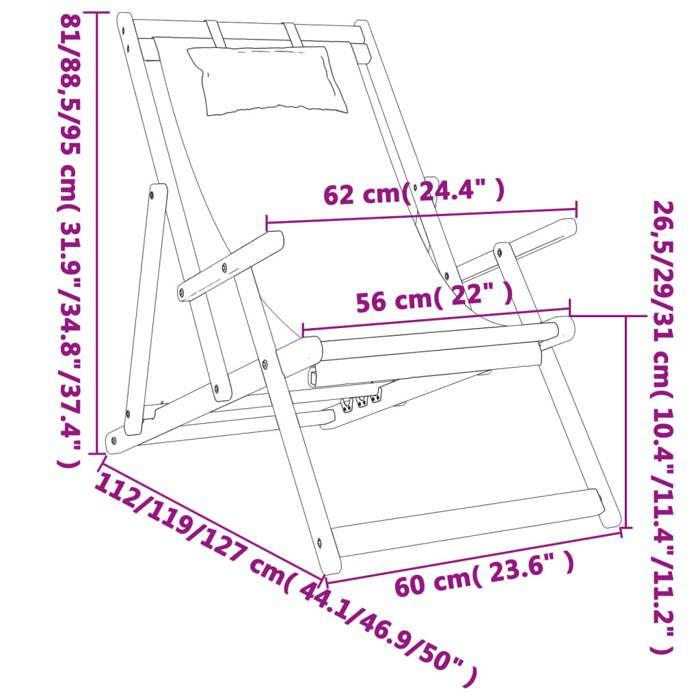 VidaXL Lot de 2 Chaises de Plage Pliables, Sièges de Terrasse, Chaises de Balcon, Meubles de Patio Camping Jardin Extérieur, 3214481
