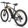 FAFREES F28 MT Mountain Electric Bicycle 36V15Ah Battery 250W Motor 27 Inch Off-Road Tires 150KG Load E-Bike For Adult