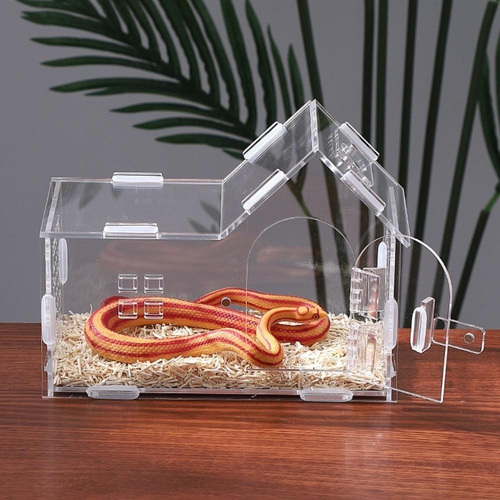 Acrylic Reptile Feeding Box Magnetic Spider Observation Box Animal Habitat Cage  Playing